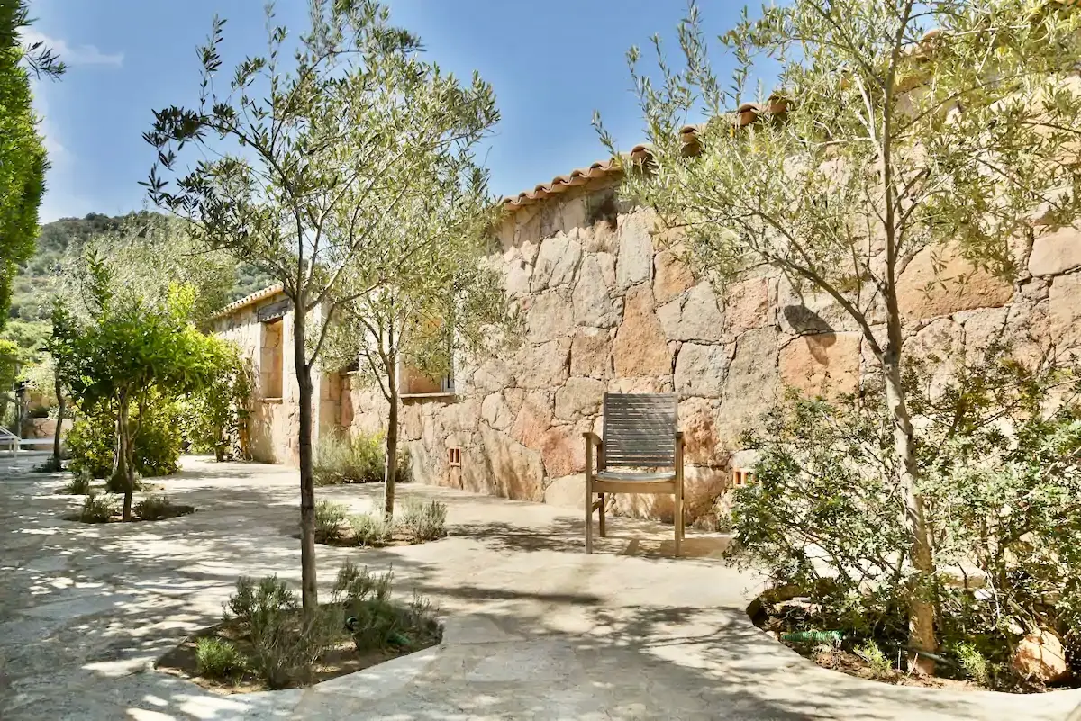 Allée pavée longeant une villa en pierre avec oliviers et végétation méditerranéenne à Porto-Vecchio.
