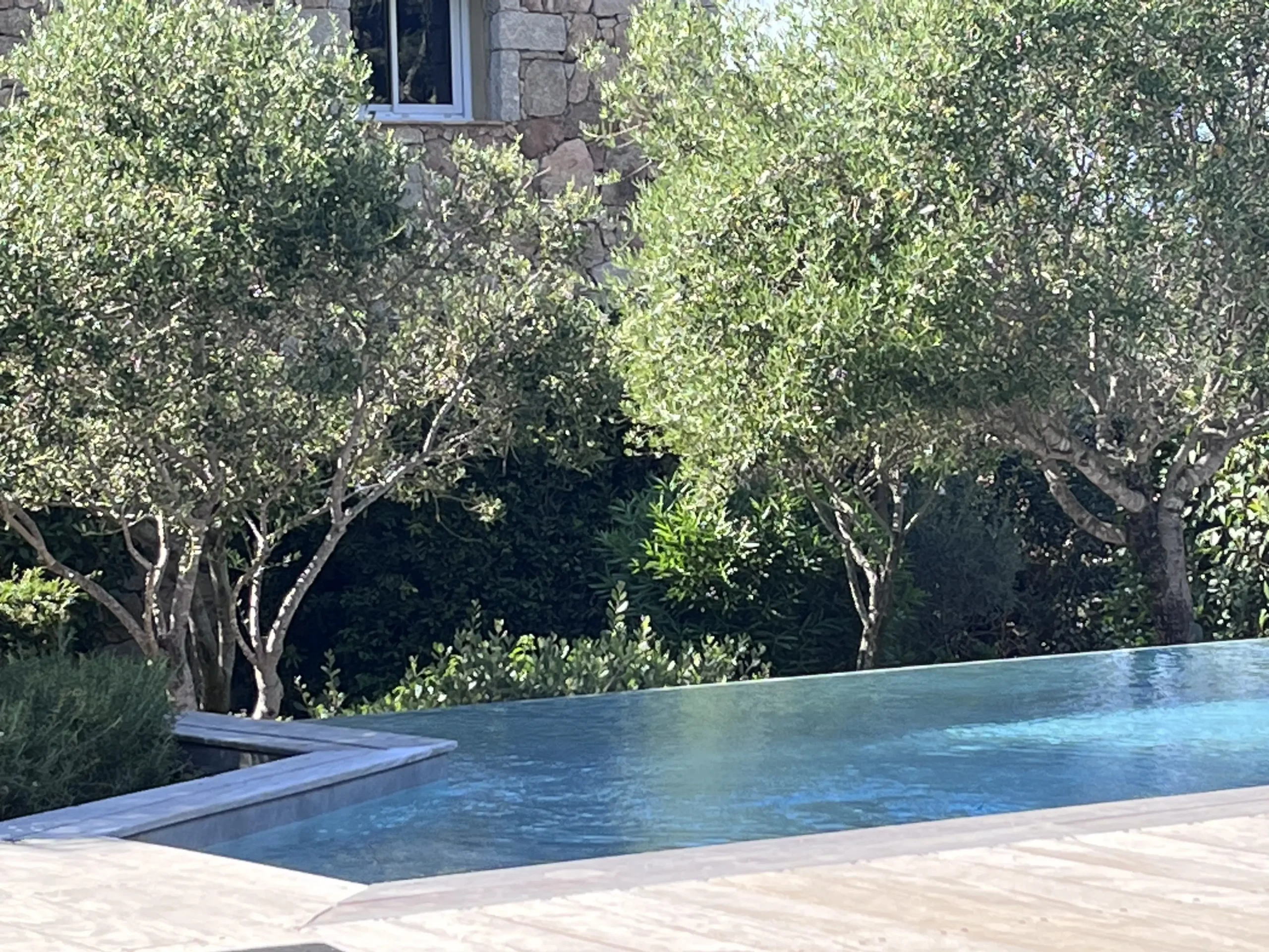 Vue symétrique d'une piscine à débordement entourée d'oliviers avec une bergerie de luxe en arrière-plan à Porto-Vecchio.